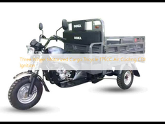 ثلاث عجلات محرك شحن ثلاثي الدراجة 175CC تبريد الهواء CDI الإشعال